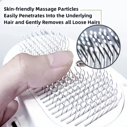 Brusha 3-in-1 Steam Pet Brush