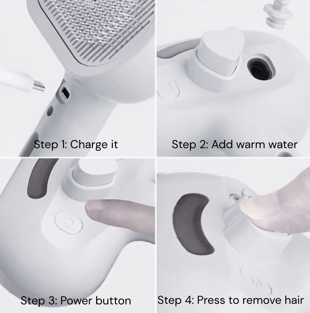 Brusha 3-in-1 Steam Pet Brush